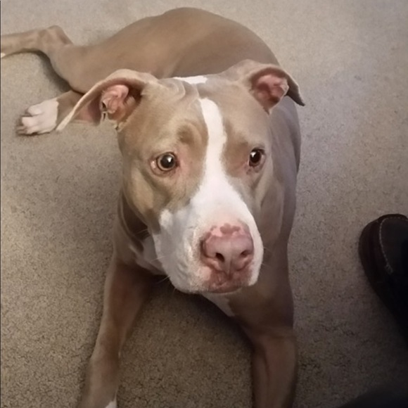 Meet your Posher, Venita - Picture 1 of 1